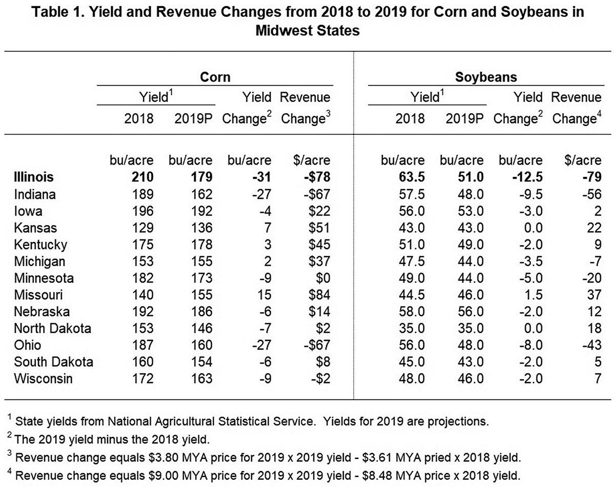 Revenue changes from 2018 to 2019